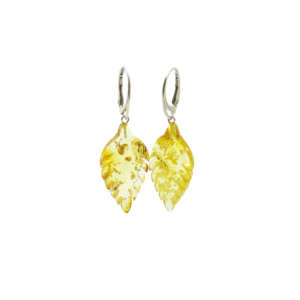 Natural Baltic amber earrings